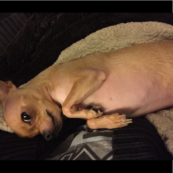 Sale 20% Off Everything Today - Picture 4 of 8